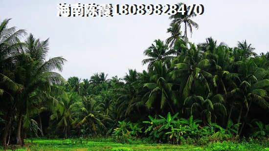 登封中岳庙自驾游路线