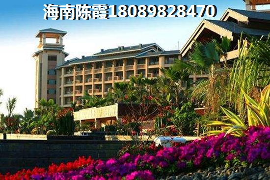 安澜蔺一珩小说名字