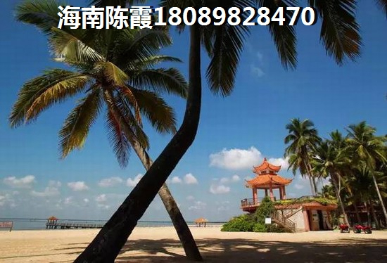 湾区金融城绿化很好是真的吗（湾区金融城预计售价）