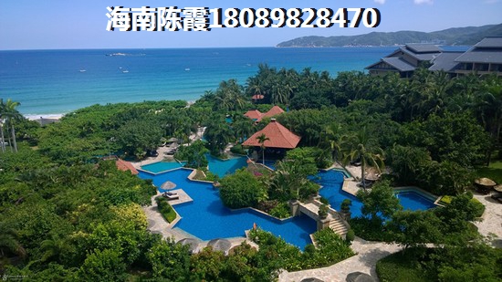 旅游达人的意思