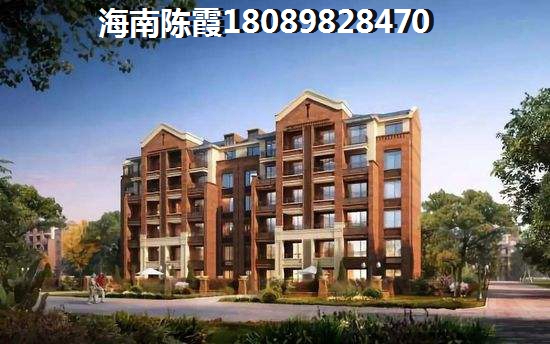 都什么茶叶属于红茶的一种