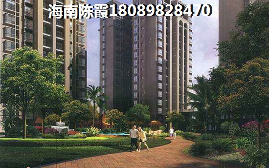 ms英文是什么意思