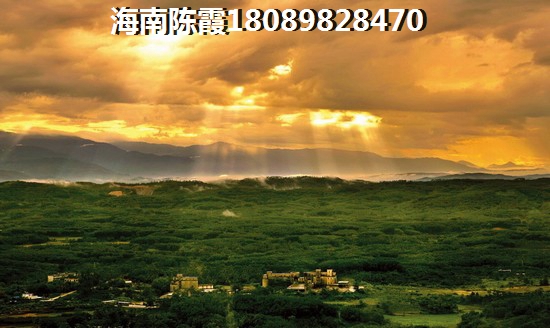 绿林路385号菜鸟驿站电话